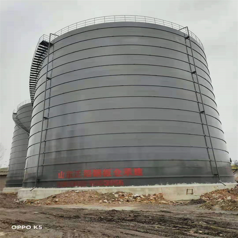 新兴镇3万吨大型钢板库