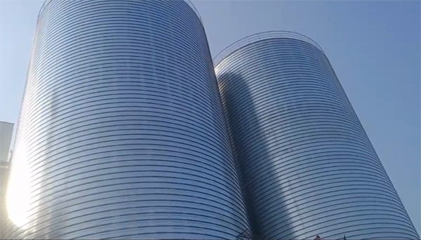 新兴镇2座混凝土高架卷板仓